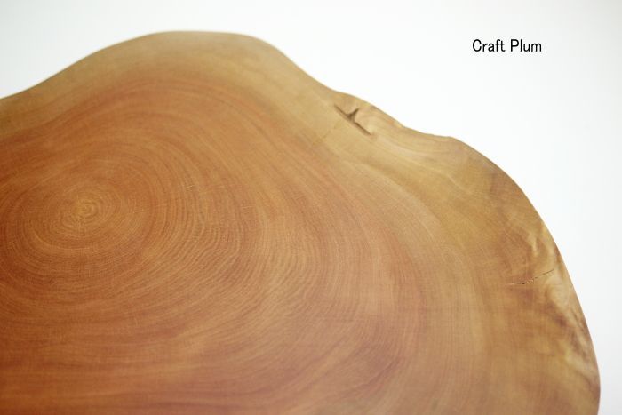 斧折樺の輪切り